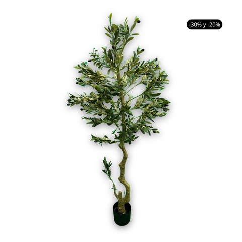 Olivo Artificial