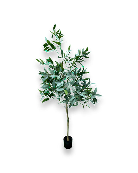 Planta Sintética.- Eucalipto